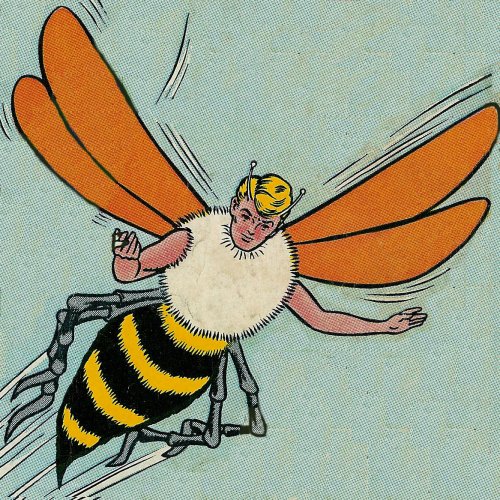 Click here to view  Bee-Boy's profile in a new window.